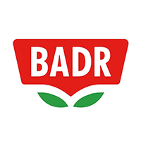 بدر