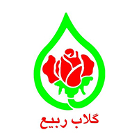 گلاب ربیع